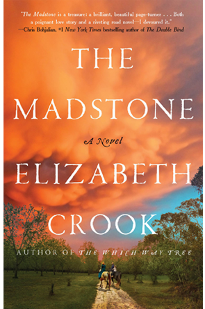 The Madstone: A Novel by Elizabeth Crook